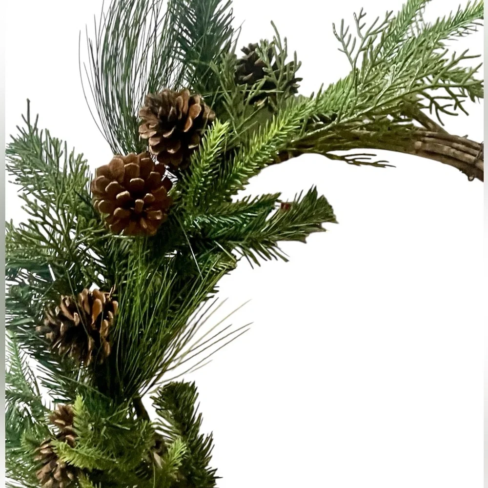 Wondershop 22” Mixed Greenery and Vine Christmas Artificial Wreath